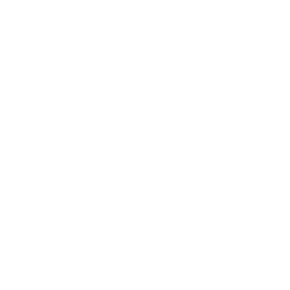 Bodas Net